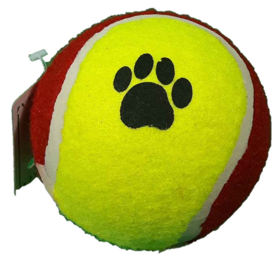 Les balles de tennis sont-elles dangereuses pour les chiens ?
