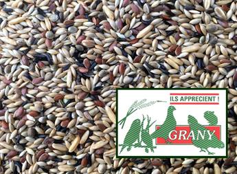 Graines pour canaris sans navette grany vendu par la société de pattes en plumes