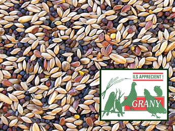 Graines pour Canaris 5 kg