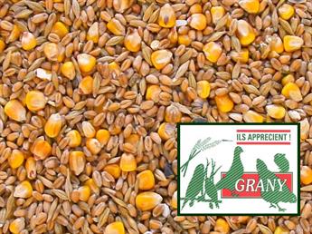 5 kg de mélange graines céréales Bio certifié pour volaille, poules etc.